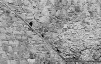 Staircase at the Wall – La Escalera a la Muralla