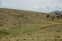 Landscape Pattern near Lake Titicaca –  Aprovechamiento Mosaico de Paisaje cerca de Lago Titicaca